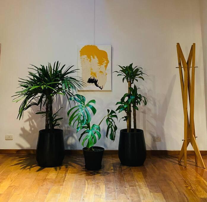Appartement Arts Loft, A Estrenar! Buenos Aires Extérieur photo